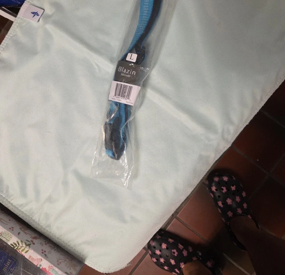 Blazin Large Blue Dog Collar